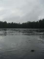 Alkumetsä