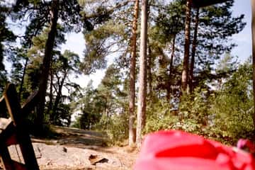 Hallayö