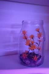 Ody_larptog_0019
